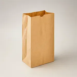 Disposable Bags
